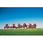 Mod�lisme accessoires de d�cor - v�g�tation : 6 buissons a fleurs rouges - faller