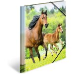 Moiuy - chemises  lastique animaux chevaux a4, polypropylne, avec impression intrieure, chemise plastique ...