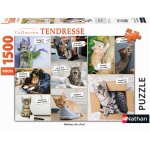Nathan puzzle n 1500 p - b�tises de chat
