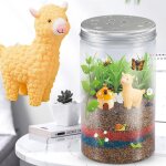 Nouveau kit de jouets de terrarium educatifs et magiques pour enfants, ensemble de jouets l�gers pour ...