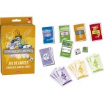Nsiecd - - richesses du monde - jeu de cartes format pocket - jeu de socit famille ds 8 ans - jeu ...