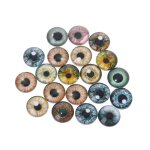 Yeux de poup�e en verre, 20 pi�ces, bricolage d'animaux, boules pour les yeux de dinosaure, accessoires ...