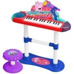 Organe avec micro, pied et banquette - claudio reig - 2353