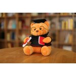 Ours en peluche avec lunettes - 18 cm, diplme et chapeau de docteur - peluche pour la remise des diplmes, ...