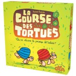 Oya la course des tortues Oya la course des tortues