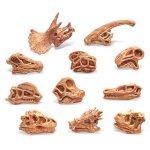 Pack de 11 mod�les de cr�ne de dinosaure r�aliste, outil de d�coration �ducatif pour enfants, fans de ...