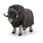 Papo boeuf musqu�