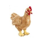 Peluche 32 cm poule brune - animaux de la ferme - living nature