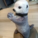 Peluche animal bnissante, panda roux, kangourou, loutre de mer, poupe de chiffon, cadeau loutre de ...