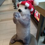 Peluche animal bnissante, panda roux, kangourou, loutre de mer, poupe de chiffon, cadeau loutre de ...