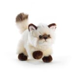 Peluche chat siamois 21 cm