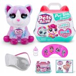 Peluches interactives pour animaux Peluches interactives pour animaux