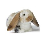Peluche lapin marron 27 cm aux oreilles tombantes - doudou animaux de la ferme - set doudou animaux de ...