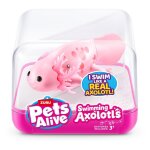 Pets alive swimming axolotl - s1, cube - 3facing12pcs / pdq Pets alive swimming axolotl - s1, cube - 3facing12pcs / pdq