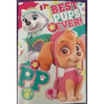 Plaid polaire pat' patrouille