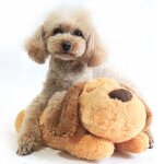Poup�e de battement de coeur en peluche pour animaux de compagnie (chien jaune) jouet de compagnon d'anxi�t� ...