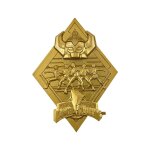 Power rangers - m�daillon power rangers limited edition (plaqu� or)