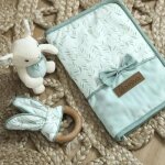 Protge carnet de sant filou - domiva