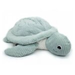 Ptipotos tortue geante menthe