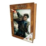 Puzzle 3d harry potter battle prime3d (300 pcs) Puzzle 3d harry potter battle prime3d (300 pcs)