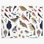 Puzzle en bois oiseaux de sonora 300 pièces 38x26 cm jouet décoration mura Puzzle en bois oiseaux de sonora 300 pièces 38x26 cm jouet décoration mura