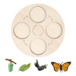 Puzzle des etapes de d�veloppement du cycle de vie, jeu d'apprentissage interactif au design color� pour ...