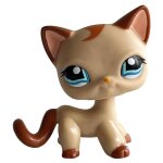 Rare animalerie jouet mini supports cheveux courts chaton vieilles figurines collection original bobble ...