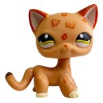 Rare animalerie jouet mini supports cheveux courts chaton vieilles figurines collection original bobble ...