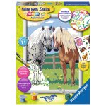 Ravensburger - loisir cratif - le joyeux printemps de winnie l ourson - langue allemande