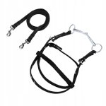 Rnes de cheval en nylon, elgantes et rglables, rnes 67