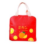 Sac a lunch isotherme portable pour femmes, dames, filles, enfants, bote a djeuner isotherme, fourre ...