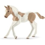 Sansh - schleich 13886 poulain paint horse, dès 5 ans, horse club - figurine, 3 x 10 x 7 cm, beige Sansh - schleich 13886 poulain paint horse, dès 5 ans, horse club - figurine, 3 x 10 x 7 cm, beige