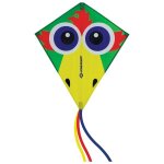 Schildkr�t fun sports - kite classic 70 - jeux de plage crazy bird / rouge