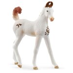 Schleich horse club poulain marwari