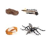Simulation de moustiques, escargot, fourmis, cycle de croissance des animaux, modèles d'insectes, jouets ... Simulation de moustiques, escargot, fourmis, cycle de croissance des animaux, modèles d'insectes, jouets ...