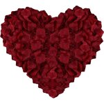 Subzonal - ptale de rose artificielle, 1200 pcs ptales a jeter pour mariage, dcoration saint valentin, ...