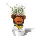 T�te d'animal cheveux d'herbe qui pousse poussin