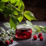 Tianyi - lot de 10 petits pots a confiture avec couvercles hermtiques, 250 ml, idaux comme cadeau pour ...