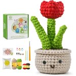 Tianyi - amigurumi crochet kit pour débutants pour crocheter des belles fleurs, kit de crochet débutant ... Tianyi - amigurumi crochet kit pour débutants pour crocheter des belles fleurs, kit de crochet débutant ...