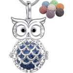 Tianyi - colliers longs pour femme, diffuseur d'aromathérapie pour huiles essentielles pendentif attrape ... Tianyi - colliers longs pour femme, diffuseur d'aromathérapie pour huiles essentielles pendentif attrape ...