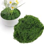 Tianyi - mousse artificielle, fausse mousse, mousse naturelle decorative mousse de bricolage dekomoos ... Tianyi - mousse artificielle, fausse mousse, mousse naturelle decorative mousse de bricolage dekomoos ...