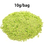 Tranches d'avocat pour nail art, 1000 pices, breloques, fruits, manucure, jouet, dcoration - 10g avocat ...