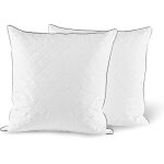 Ulteronixshop - oreiller en plumes et duvet d'oie 60x60, lot de 2 coussin d'h�tel de luxe avec housse ...