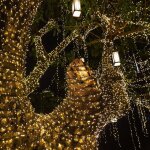Veilleuse lumisky guirlande lumineuse solaire d�coration e