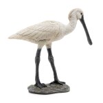 La vie sauvage spatule La vie sauvage spatule