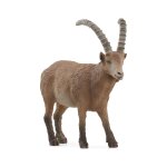 Wild life bouquetin Wild life bouquetin
