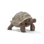 Wild life tortue g�ante