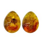 Xm 2 pcs fossile d'ambre avec insectes mode belles pierres echantillons spcimens dcorations pour la ...