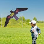 Xui cerf - volant cerf - volant cerf - volant cerf - volant, pigeon, leurre, antiparasitaire, animal ... Xui cerf - volant cerf - volant cerf - volant cerf - volant, pigeon, leurre, antiparasitaire, animal ...