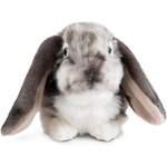 Yemaesre - peluche lapin nain bélier gris, lapin en peluche doux, réaliste jouets animaux de compagnie, ... Yemaesre - peluche lapin nain bélier gris, lapin en peluche doux, réaliste jouets animaux de compagnie, ...